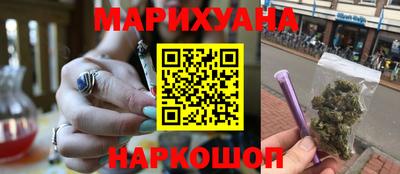 СК Бийск