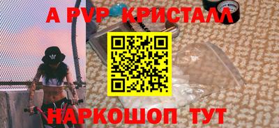 СК Бийск
