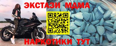 СК Бийск